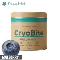 Freeze-Dried Mulberry | Superfood Berry